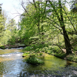 kayburg